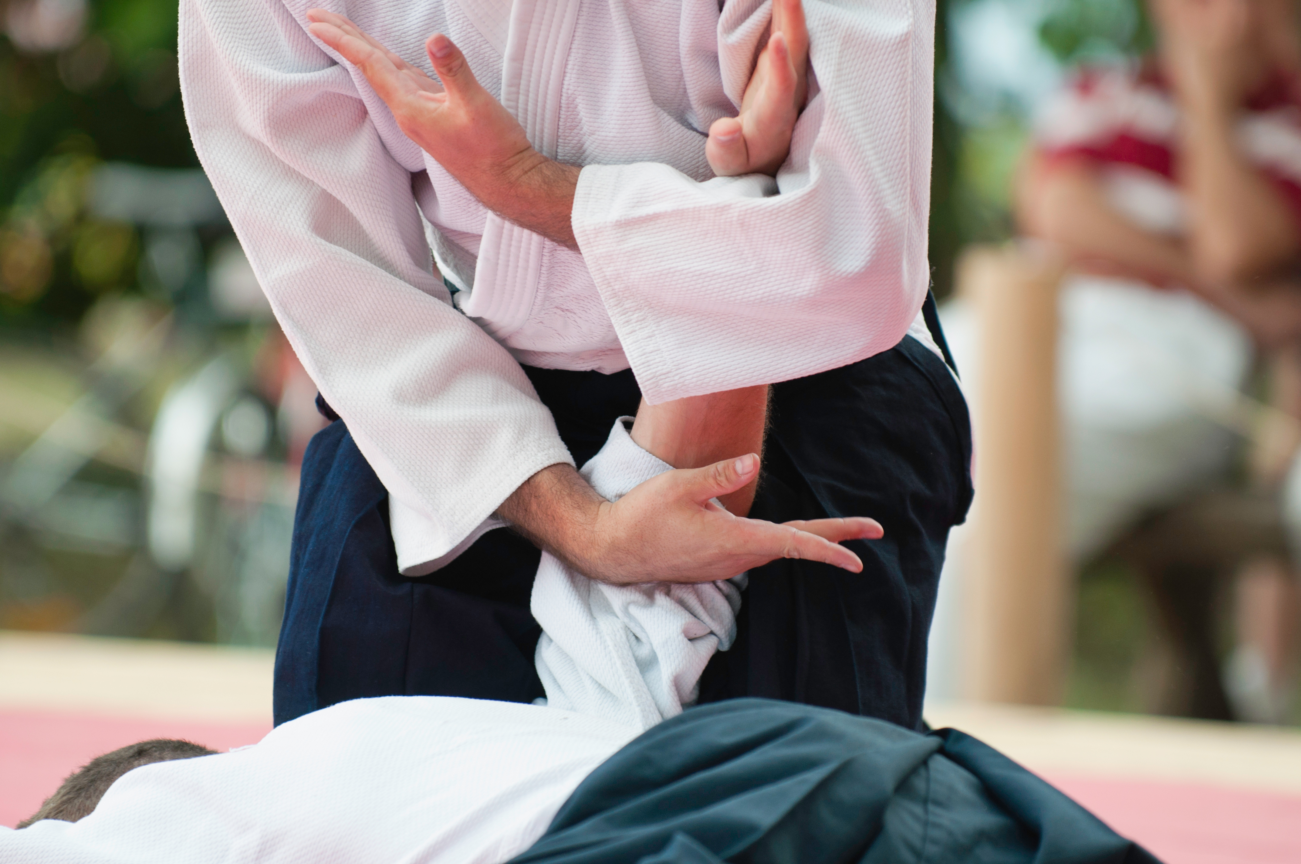 Illustration de deux pratiquants d'Aïkido